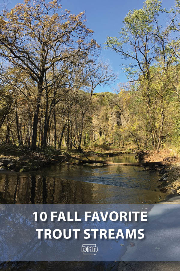 Our 10 favorite trout fishing streams for fall | Iowa DNR